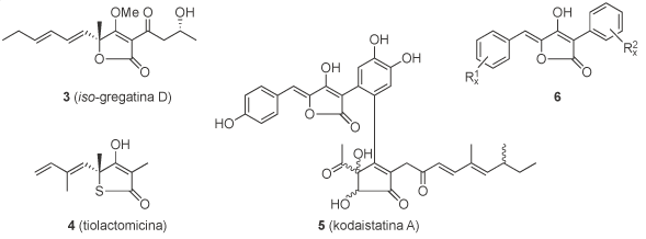 Investigación - Esquema 3