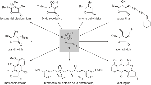 Investigación - Esquema 5