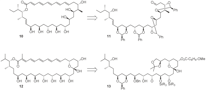 Investigación - Esquema 6