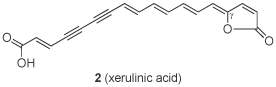 Research - Scheme 2