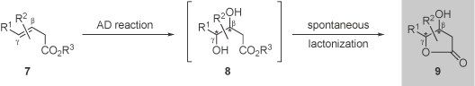 Research - Scheme 4