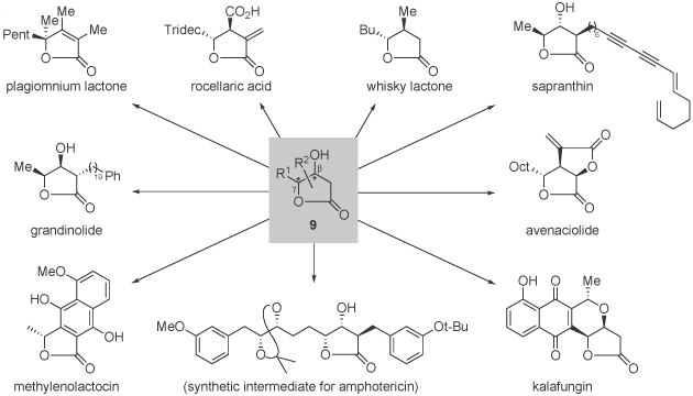 Research - Scheme 5